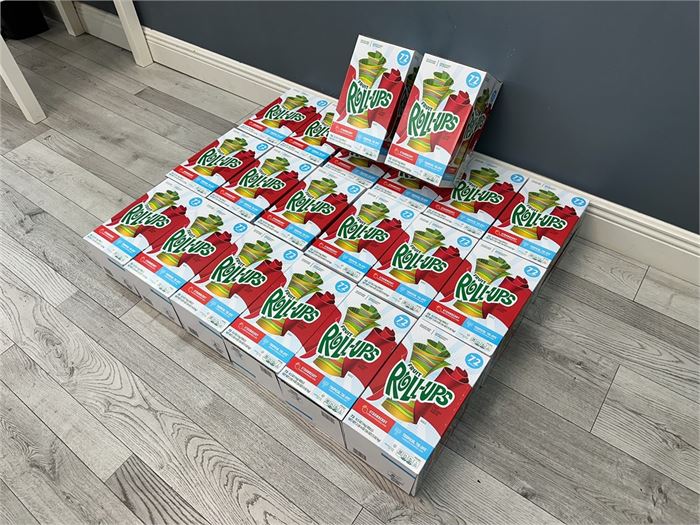 QTY: (20) TWENTY SEALED NEW BOXES OF FRUIT ROLL-UPS. (RETAILS FOR $20 PER BOX)